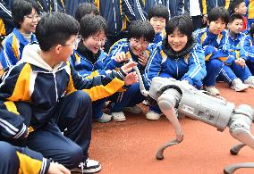 AI Popularization in Schools