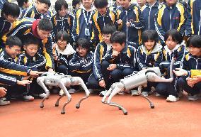 AI Popularization in Schools