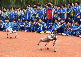 AI Popularization in Schools