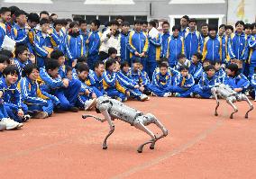 AI Popularization in Schools