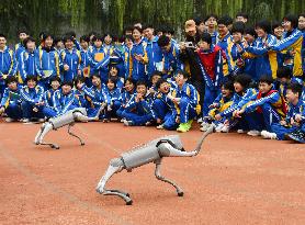 AI Popularization in Schools