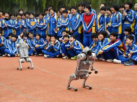 AI Popularization in Schools