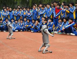 AI Popularization in Schools