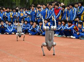 AI Popularization in Schools