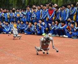 AI Popularization in Schools