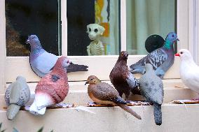 Pigeon House in The West Village - NYC