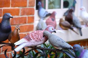 Pigeon House in The West Village - NYC