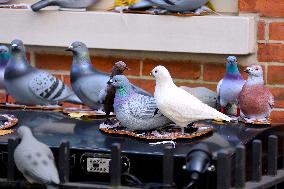 Pigeon House in The West Village - NYC