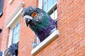 Pigeon House in The West Village - NYC