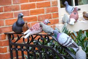 Pigeon House in The West Village - NYC