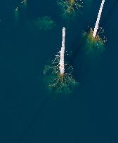 The Inverted Forests Of Lake Kaindy - Kazakhstan