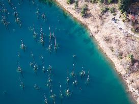 The Inverted Forests Of Lake Kaindy - Kazakhstan