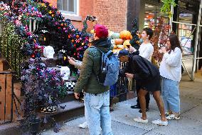 Halloween Decorations - NYC