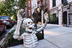 Halloween Decorations - NYC