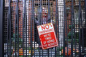 Halloween Decorations - NYC