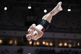 Artistic Gymnastics: World championships