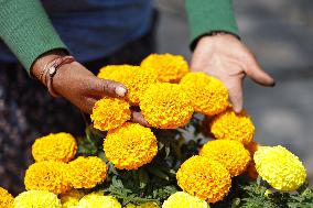 Marigold Flowers Ahead Day of the Dead - Mexico
