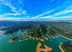 Autumn Scenery Season Illustrations - China