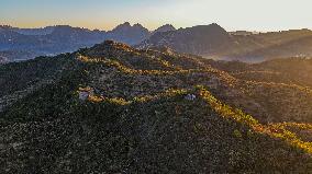 Autumn Scenery Season Illustrations - China