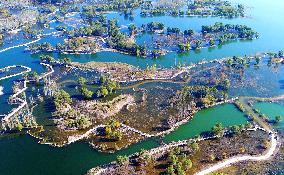 Autumn Scenery Season Illustrations - China