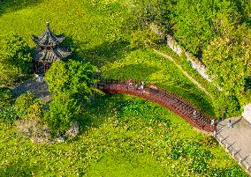 Autumn Scenery Season Illustrations - China