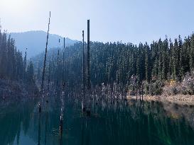 Inverted Forests of Lake Kaindy - Kazakhstan