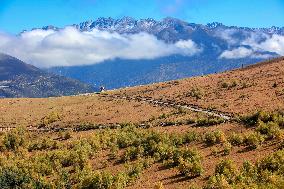 Autumn Scenery Season Illustrations - China