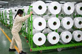 World's Largest Production Base For Recycled Polyester Filament