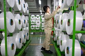 World's Largest Production Base For Recycled Polyester Filament