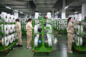 World's Largest Production Base For Recycled Polyester Filament