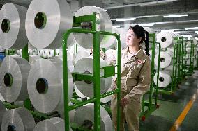 World's Largest Production Base For Recycled Polyester Filament