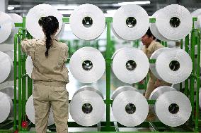 World's Largest Production Base For Recycled Polyester Filament