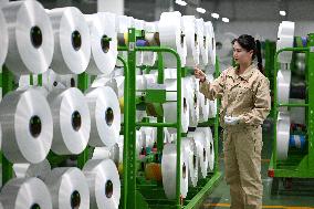 World's Largest Production Base For Recycled Polyester Filament