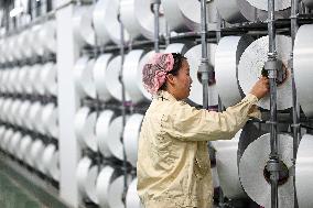 World's Largest Production Base For Recycled Polyester Filament