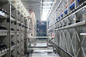 World's Largest Production Base For Recycled Polyester Filament