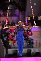 ALTRO - Ginnastica - 53rd FIG Artistic Gymnastics World Championships Apparatus Finals