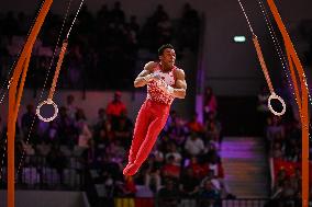 ALTRO - Ginnastica - 53rd FIG Artistic Gymnastics World Championships Apparatus Finals