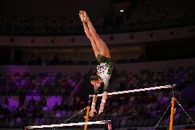 ALTRO - Ginnastica - 53rd FIG Artistic Gymnastics World Championships Apparatus Finals