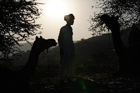 World's Largest Camel Fair - India