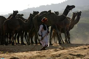 World's Largest Camel Fair - India