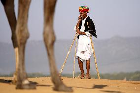 World's Largest Camel Fair - India