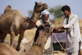World's Largest Camel Fair - India