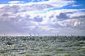 TRANSAT CAFE L OR Le Havre Normandie 2025. FC