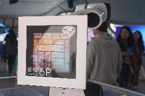 Horizon Robotics Automotive-grade Chip