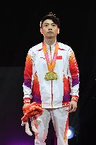 ALTRO - Ginnastica - 53rd FIG Artistic Gymnastics World Championships Apparatus finals Day 2