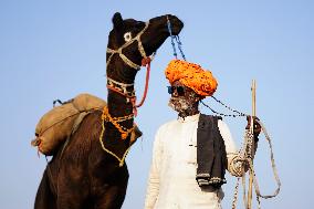 The Coolest Camel Herder of The Annual Camel Fair - Pushkar