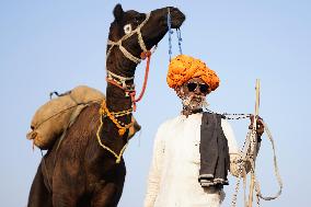 The Coolest Camel Herder of The Annual Camel Fair - Pushkar