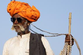The Coolest Camel Herder of The Annual Camel Fair - Pushkar