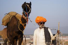 The Coolest Camel Herder of The Annual Camel Fair - Pushkar