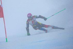 SPORT INVERNALI - Sci Alpino - 2026 Audi FIS Ski World Cup - Men's Giants Slalom